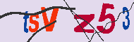 Codice captcha