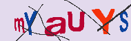 Codice captcha