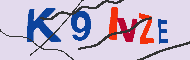 Codice captcha