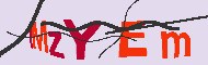 Codigo Captcha